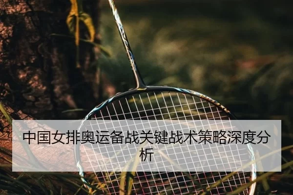 中国女排奥运备战关键战术策略深度分析