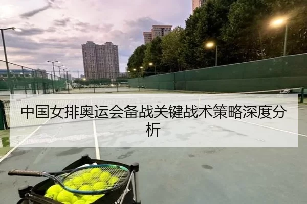 中国女排奥运会备战关键战术策略深度分析